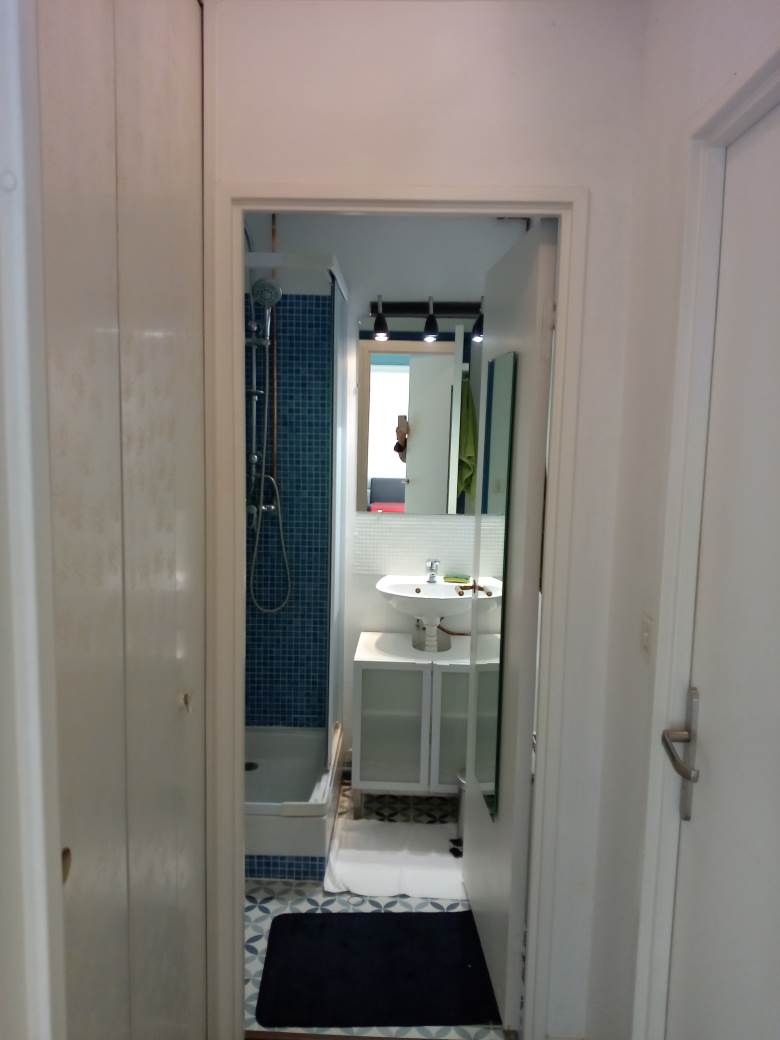 Colocation Rennes Triangle salle deau 1