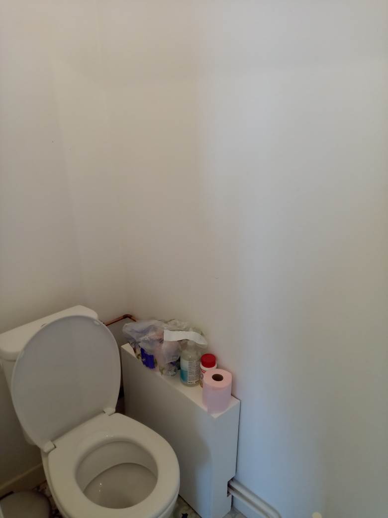 Colocation Rennes Triangle wc 1